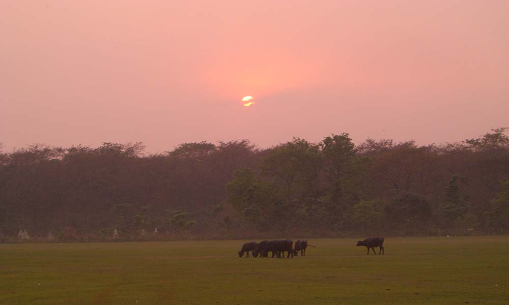 Chitwan