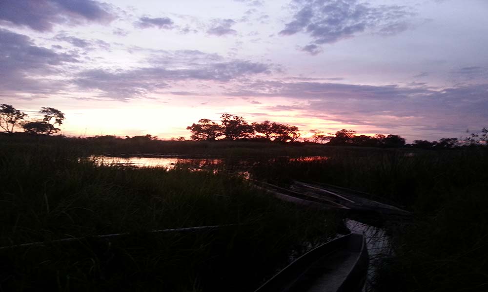 Okavango Delta