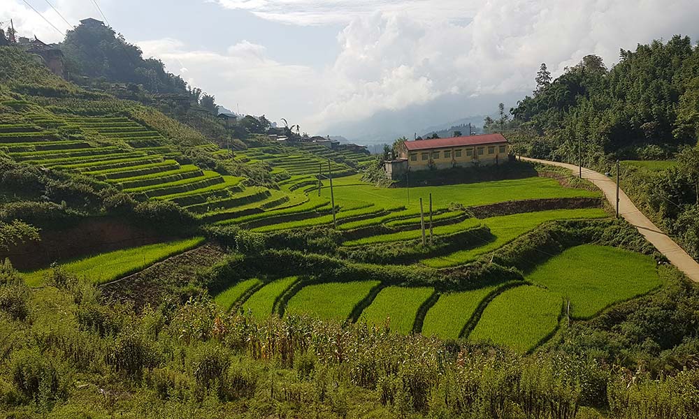 Sapa