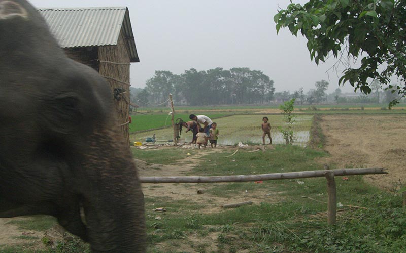 Chitwan