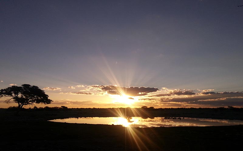 Etosha