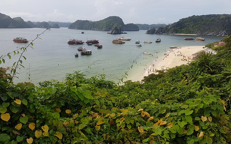 Halong Bay