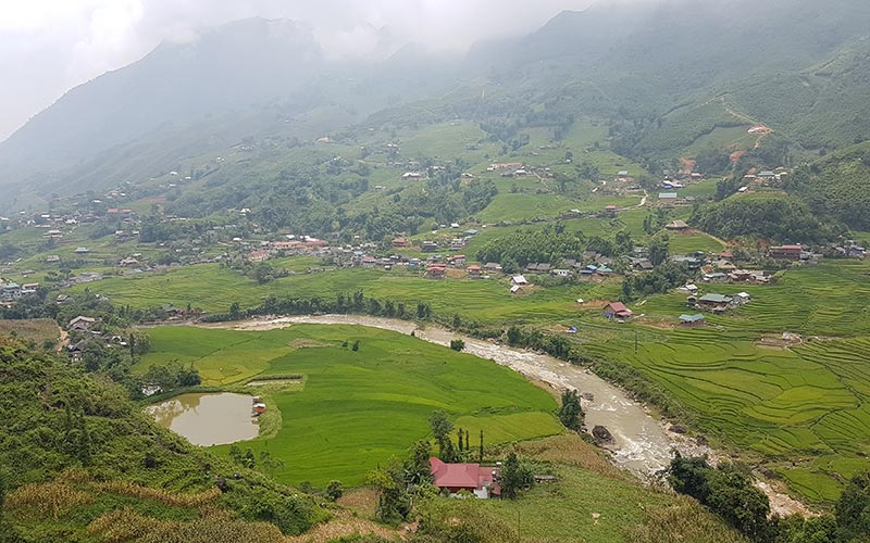 Sapa