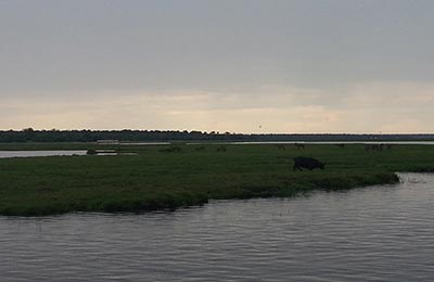 Chobe