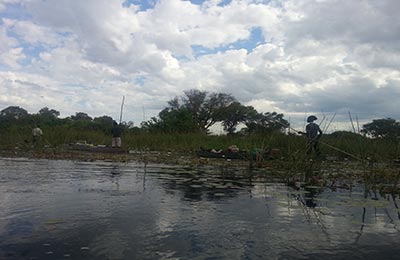 Okavango Delta