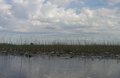 Okavango Delta