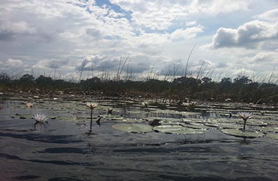 Okavango Delta