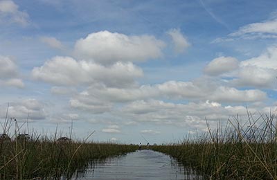 okavango