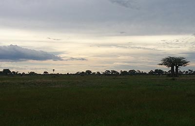 Okavango Delta