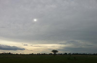 Okavango Delta