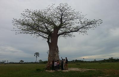 okavango