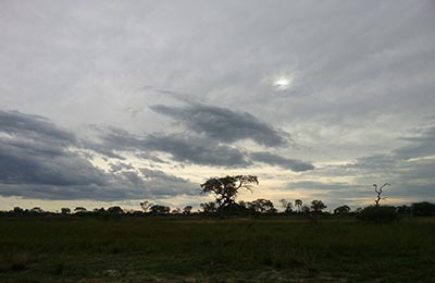 Okavango Delta