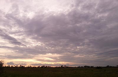 Okavango Delta