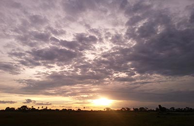 Okavango Delta