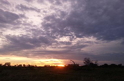 Okavango Delta