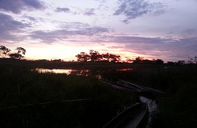 okavango