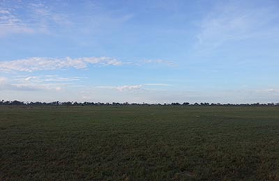 Okavango Delta