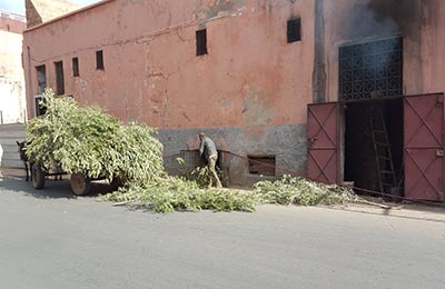 Marrakech