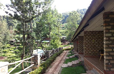 Bunyonyi