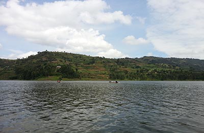 bunyonyi