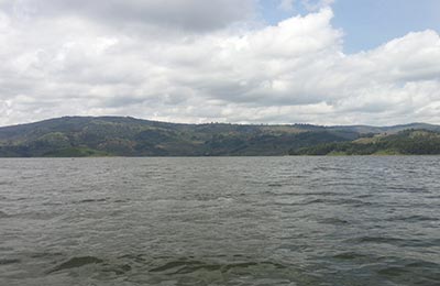 Bunyonyi