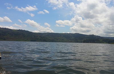 Bunyonyi