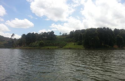 Bunyonyi