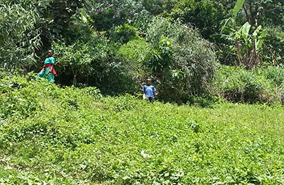 Bunyonyi