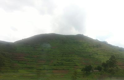 Bwindi