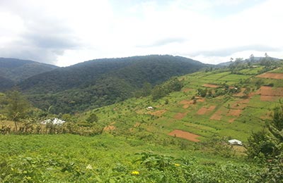 Bwindi