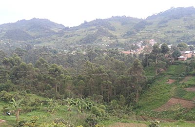 Bwindi