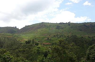 Bwindi