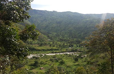 rwenzori