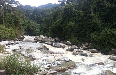 rwenzori