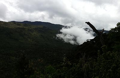 Rwenzori