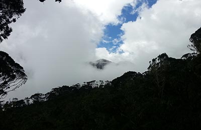 Rwenzori