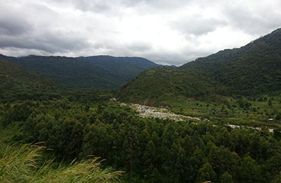 Rwenzori