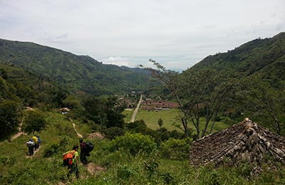 rwenzori