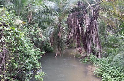 Cataratas Victoria