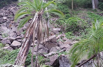 Cataratas Victoria