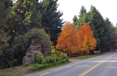 Bariloche