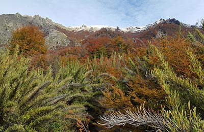 Bariloche