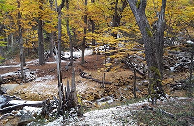 Bariloche