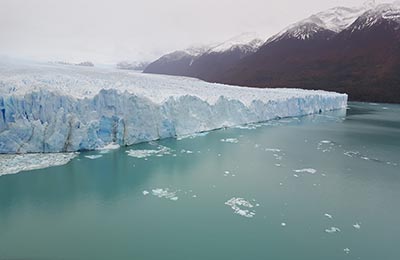 Calafate