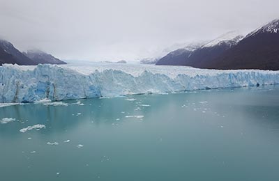 Calafate