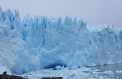 Calafate