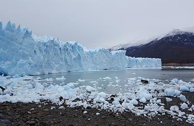 Calafate