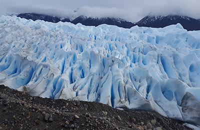 Calafate