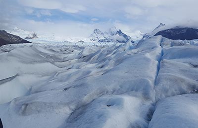 Calafate