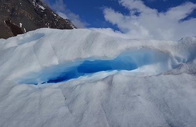 Calafate